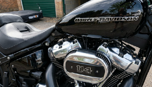 Specialist Motorcycles; image 2